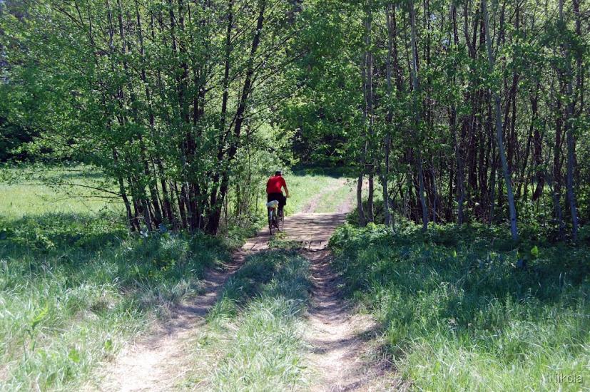 Серебрянка з panoramio.com - Serebryanka