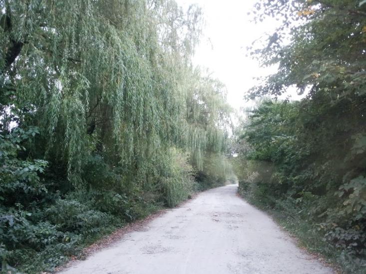 Кривичі з panoramio.com - Кривичі