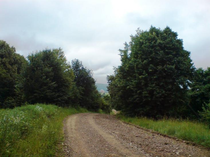 Перевозець з panoramio.com - Перевозець