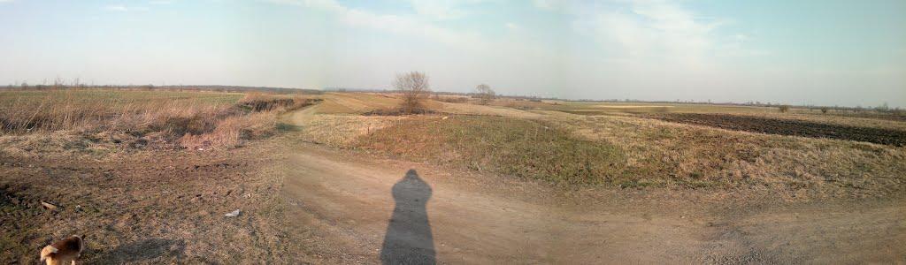 Пиняни з panoramio.com - Пыняны