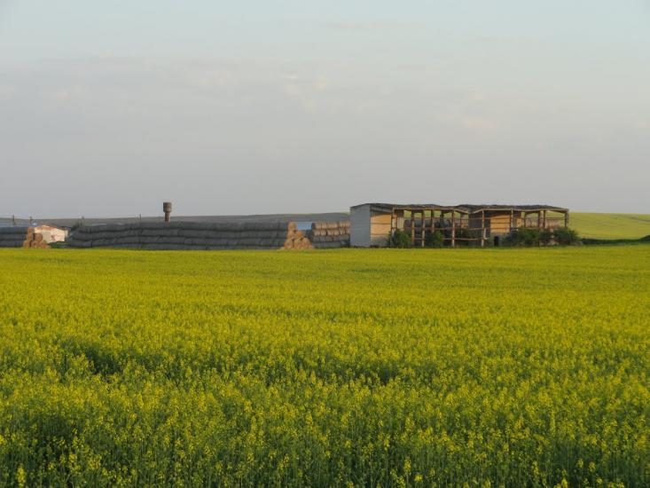 Маковичі з panoramio.com - Маковичі