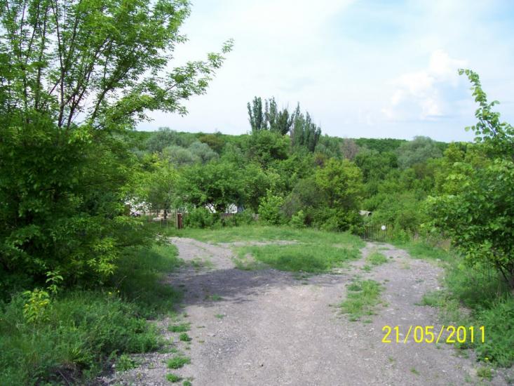 Пискунівка з panoramio.com - Pyskunivka