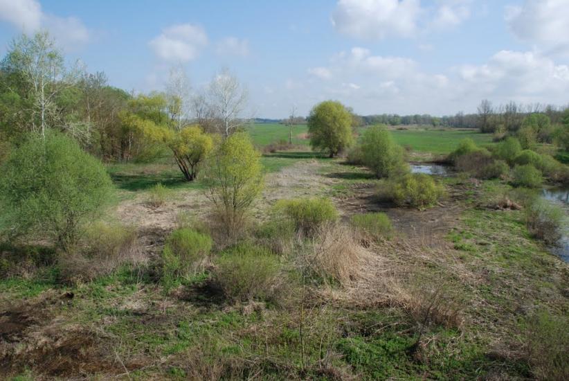 Байрак з panoramio.com - Байрак
