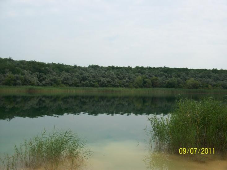 Балахівка з panoramio.com - Балаховка