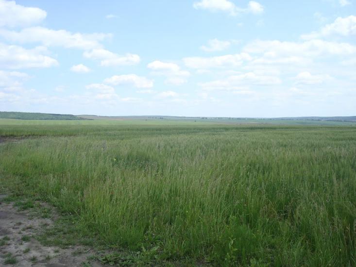 Стуфчинці з panoramio.com - Стуфчинцы
