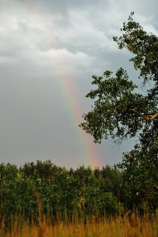 Лукищина з panoramio.com - Лукищина