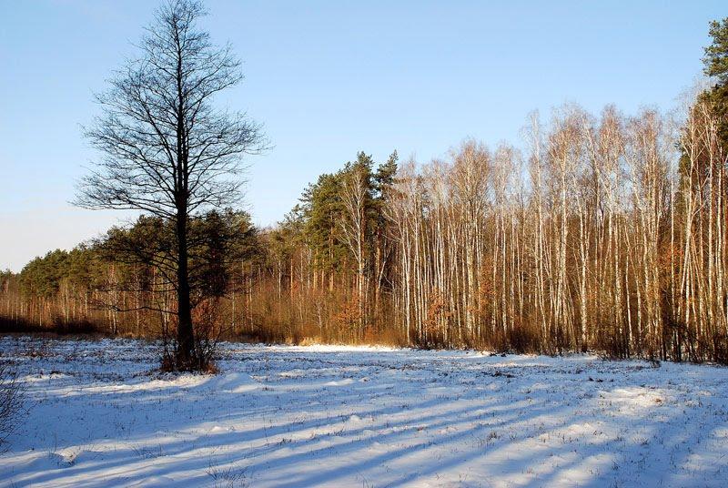 Довжик з panoramio.com - Довжик