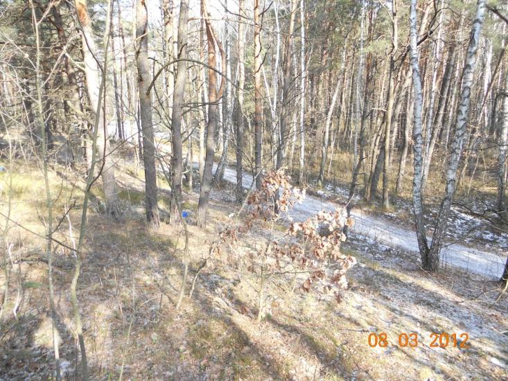 Турійськ з panoramio.com - Турийск