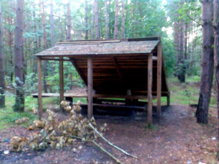 Гаї-Дітковецькі з panoramio.com - Гаї-Дітковецькі