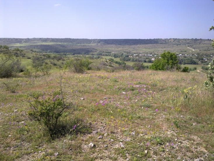 Фурмановка з panoramio.com - Фурмановка