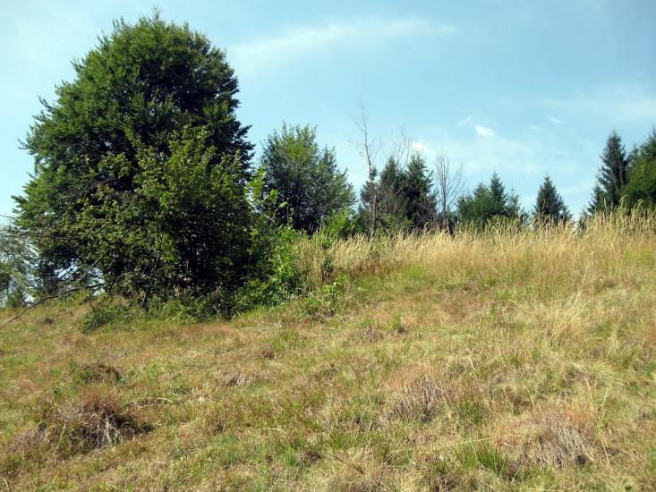 Підчумаль з panoramio.com - Подчумаль