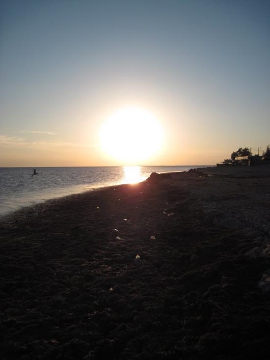 Хорли з panoramio.com - Хорли