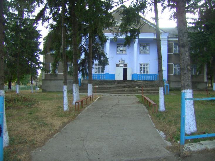 Несвоя з panoramio.com - Несвоя
