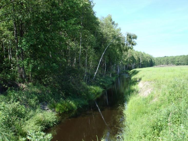 Хрипськ з panoramio.com - Khrypsk