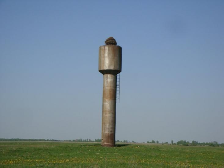 М'ясківка з panoramio.com - М'ясківка