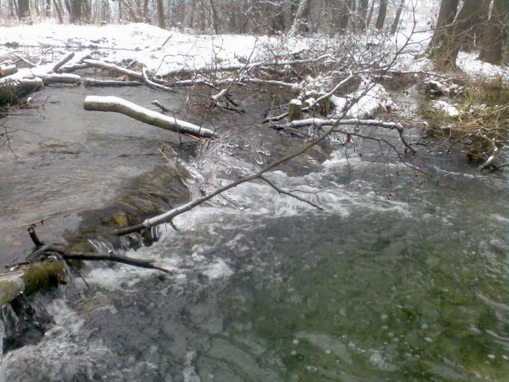 Радивилів з panoramio.com - Радивилов