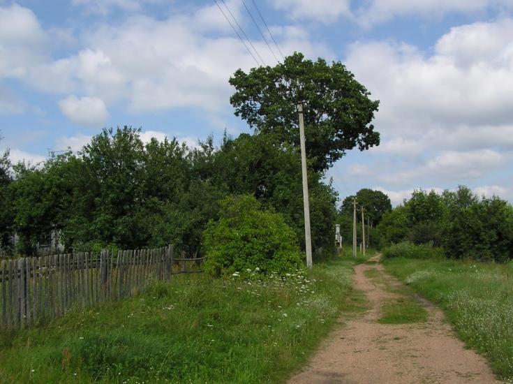 Струмок з panoramio.com - Струмок
