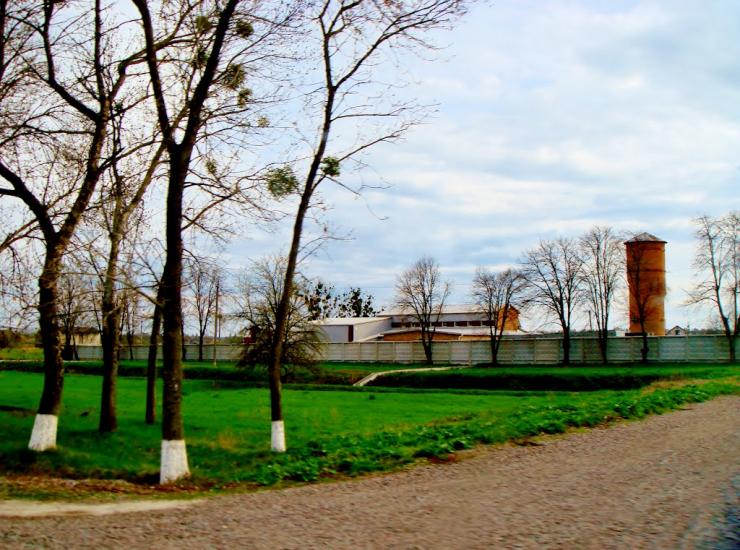 Тараща з panoramio.com - Тараща