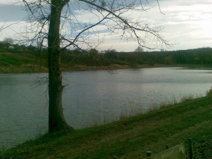 Федорівка з panoramio.com - Федорівка