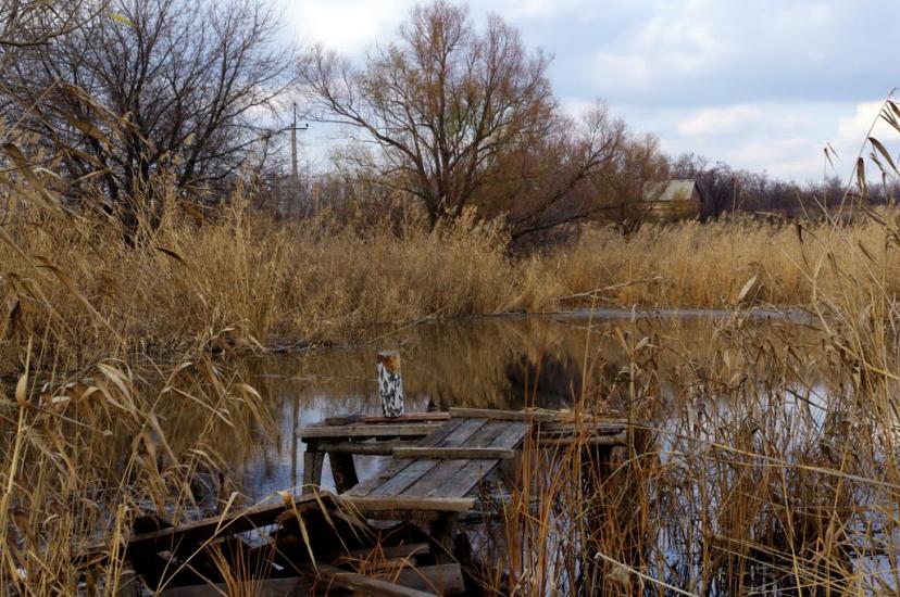 Красний Партизан з panoramio.com - Красний Партизан