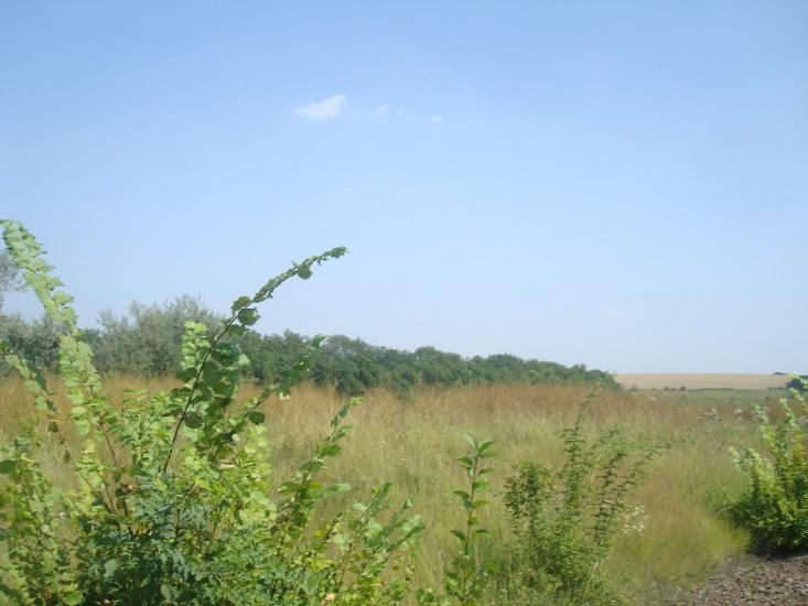 Ленківці з panoramio.com - Ленковцы