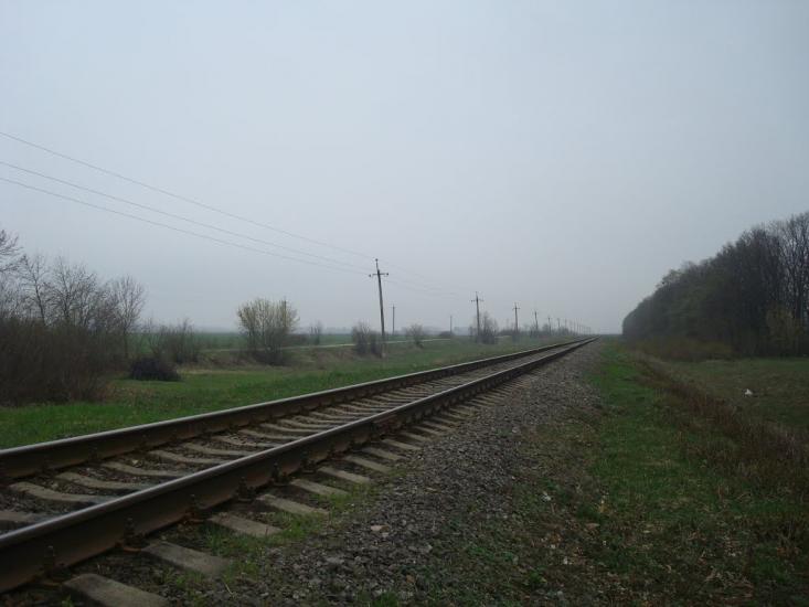 Грибенинка з panoramio.com - Грибенинка