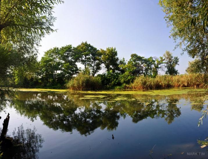 Борова з panoramio.com - Борова