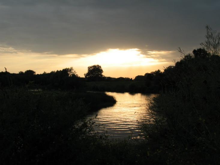 Синичине з panoramio.com - Синичине