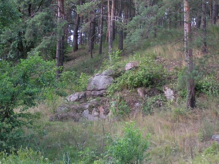 Струмок з panoramio.com - Струмок
