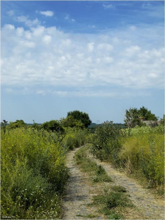 Балахівка з panoramio.com - Balakhivka