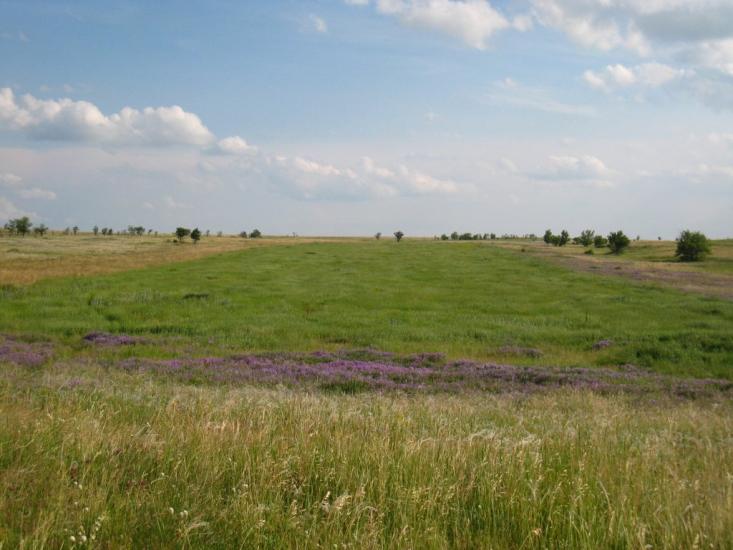 Шимшинівка з panoramio.com - Шимшинівка