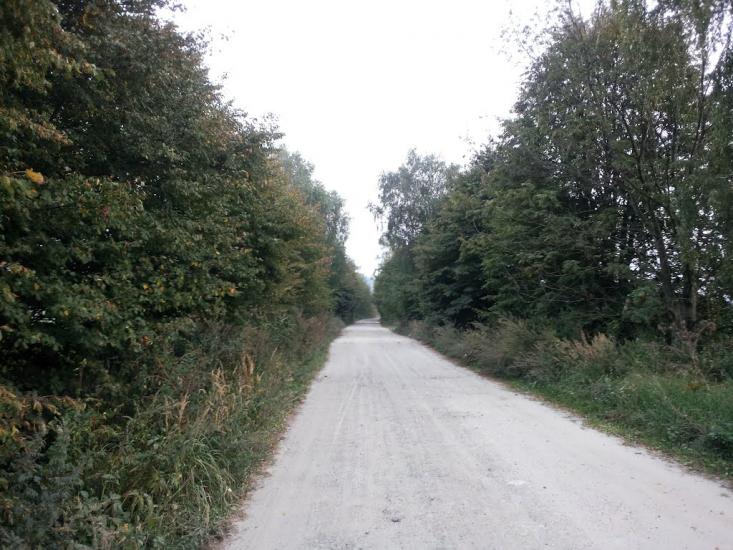 Кривичі з panoramio.com - Кривичі