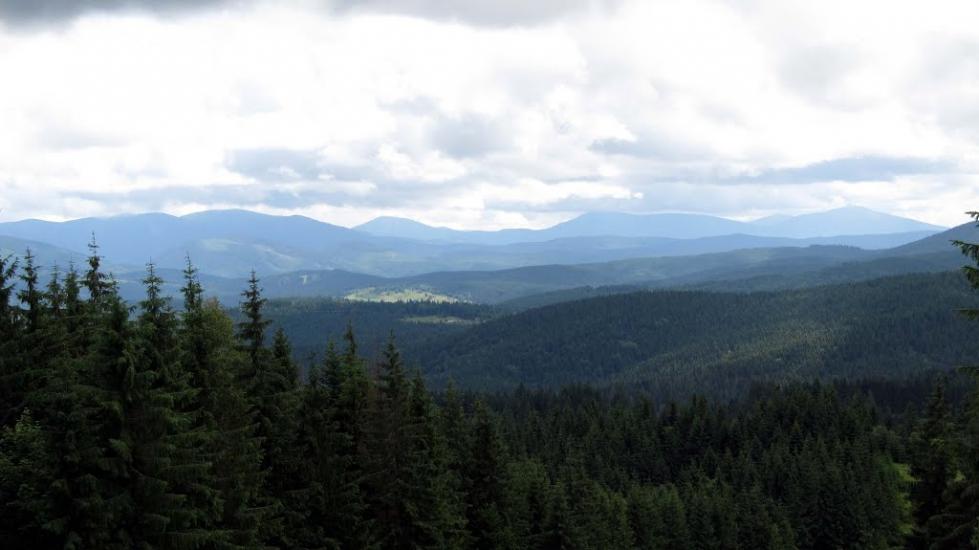 Тітківці з panoramio.com - Тітківці