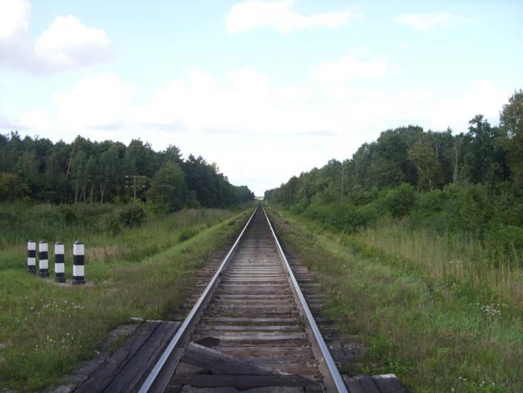 Турійськ з panoramio.com - Турийск