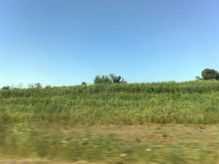 Балабине з panoramio.com - Балабино