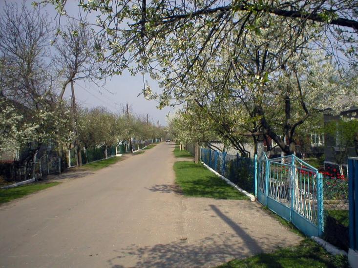 Демидівка з panoramio.com - Демидівка
