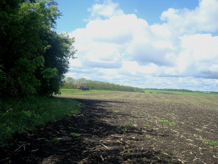 Жищинці з panoramio.com - Жищинці