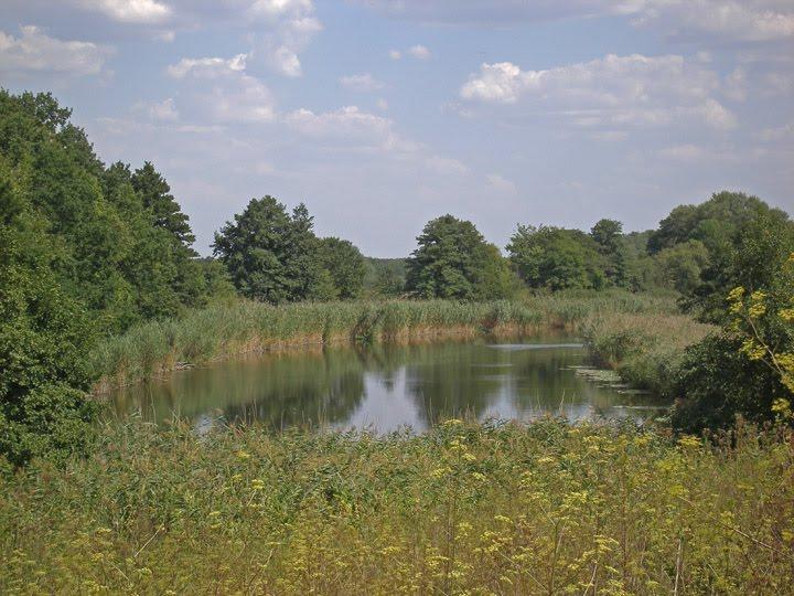 Литвинівка з panoramio.com - Литвиновка