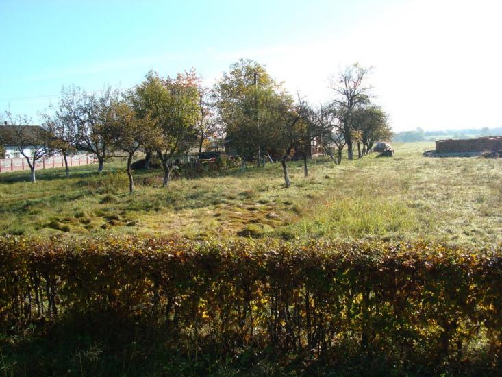 Раківчик з panoramio.com - Раківчик