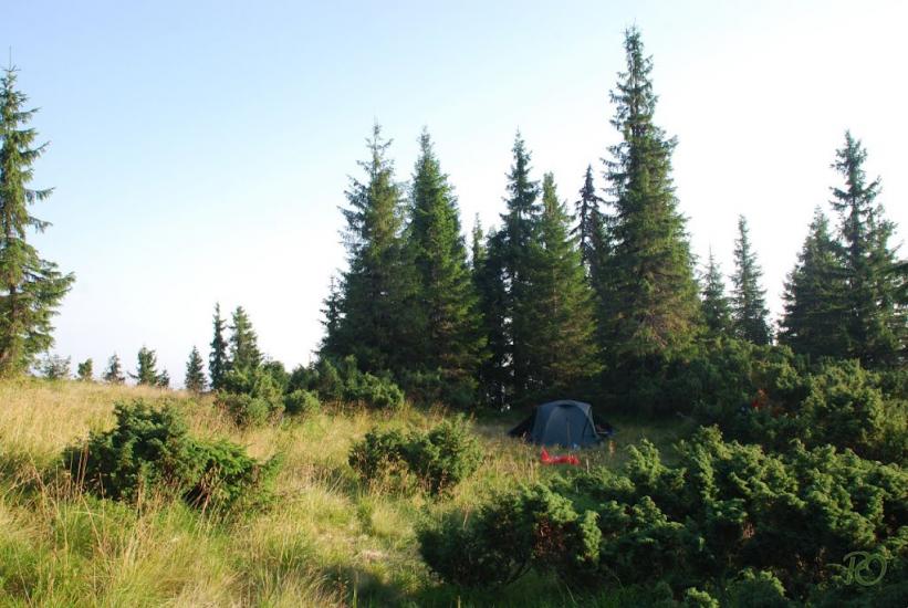 Бребоя з panoramio.com - Бребоя