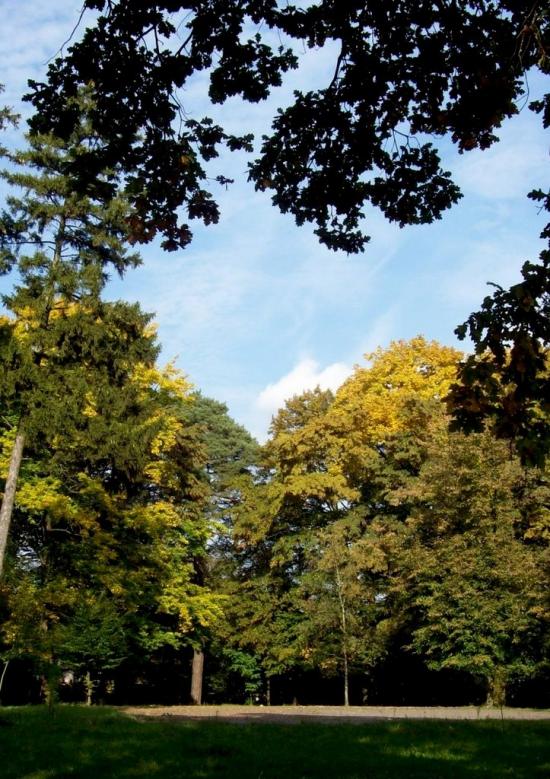 Думени з panoramio.com - Думены