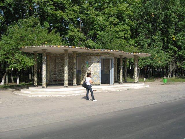 Кочеток з panoramio.com - Kochetok