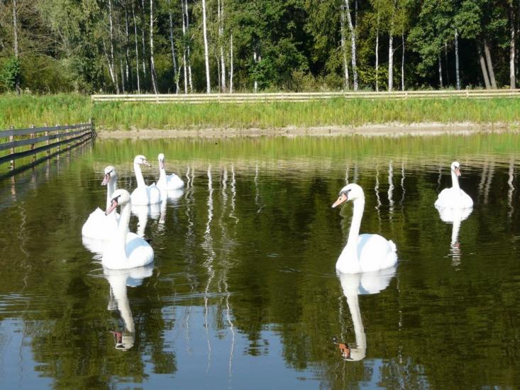 Ічня з panoramio.com - Ичня