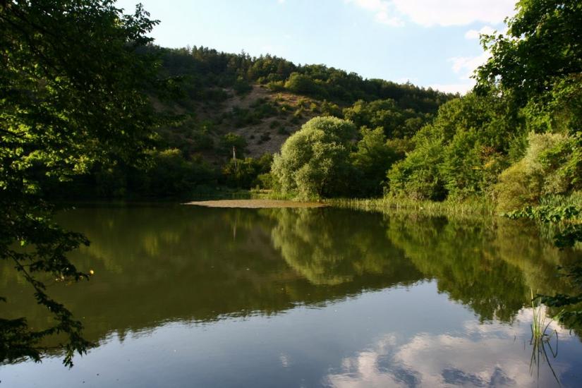 Піонерське з panoramio.com - Пионерское