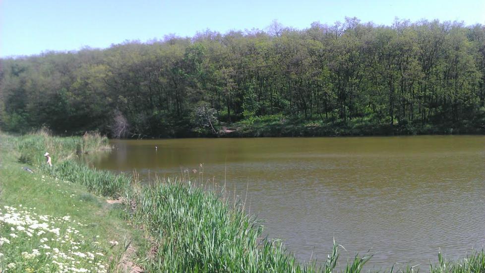 Золоте з panoramio.com - Zolote