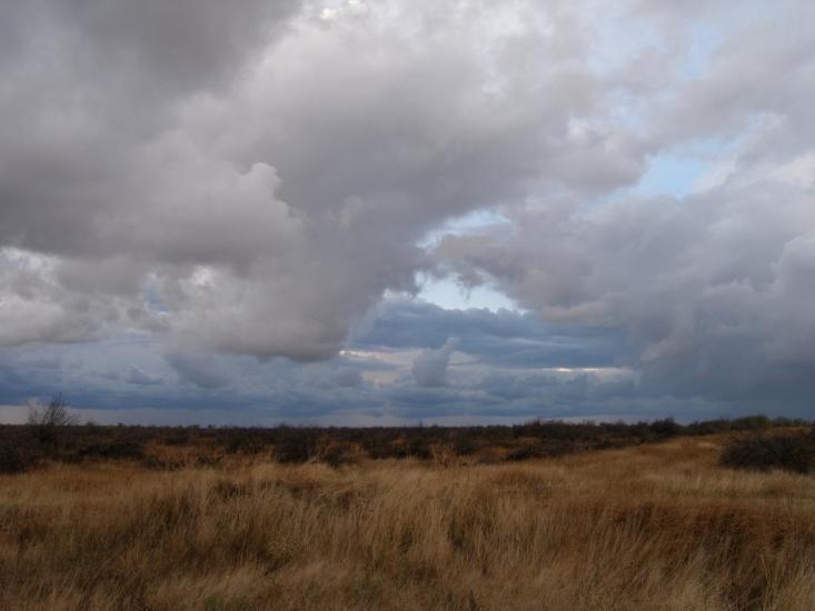 Фурмановка з panoramio.com - Фурмановка