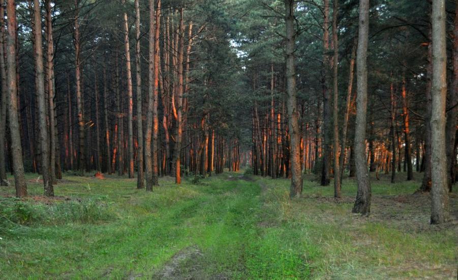 Углище з panoramio.com - Углище