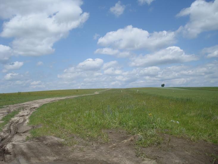 Стуфчинці з panoramio.com - Стуфчинцы