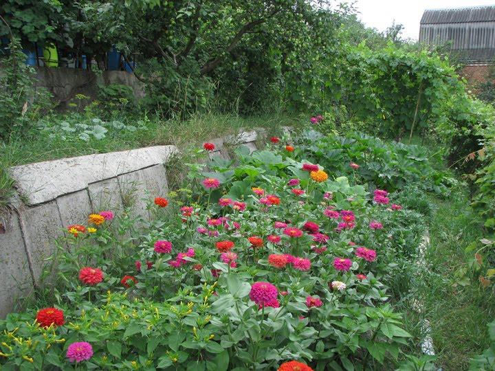 Литвинівка з panoramio.com - Литвиновка