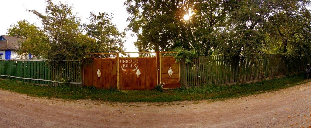 Заріччя з panoramio.com - Заріччя